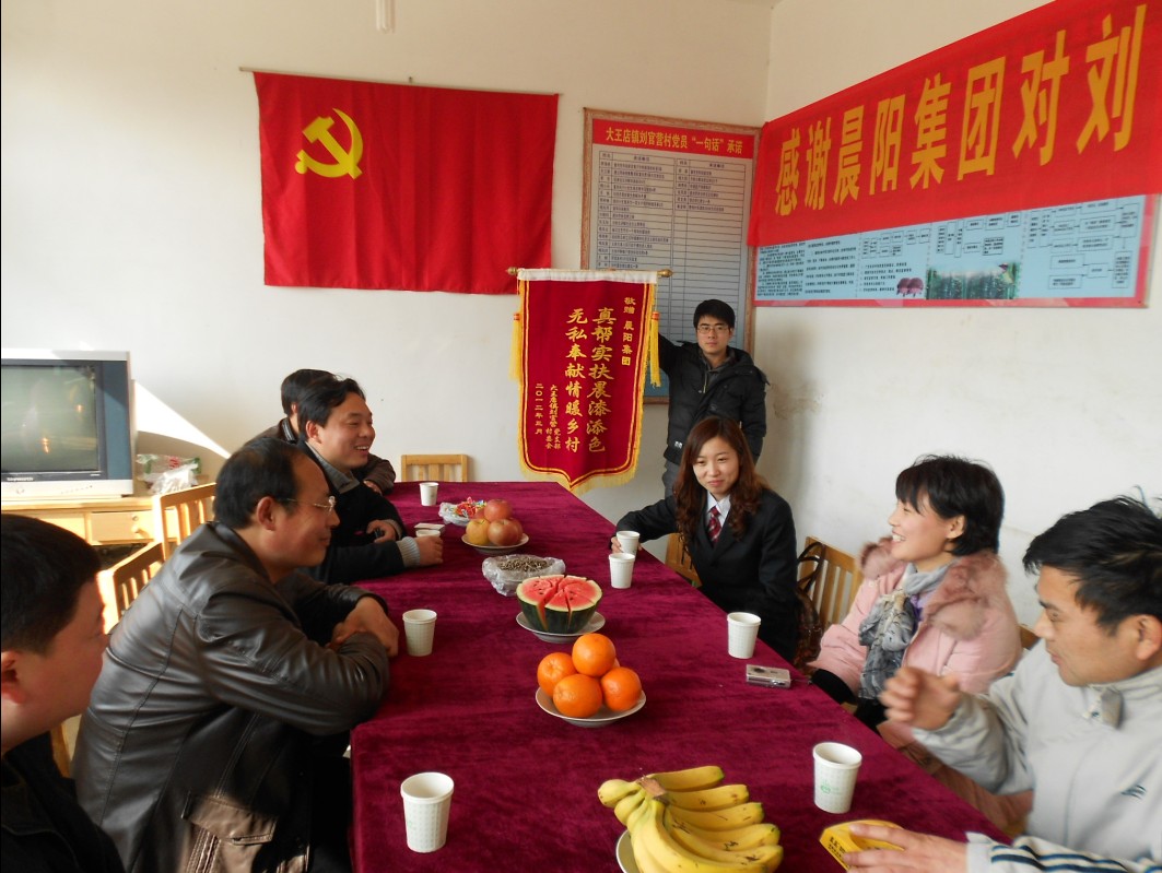 晨陽集團扮“靚”劉官營村